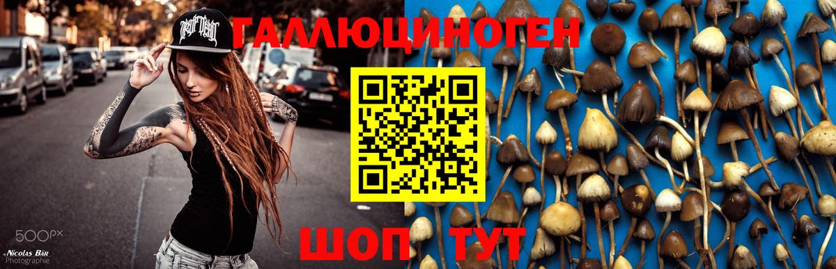 Кольчугино  Псилоцибиновые грибы мухоморы  Вход с VPN 